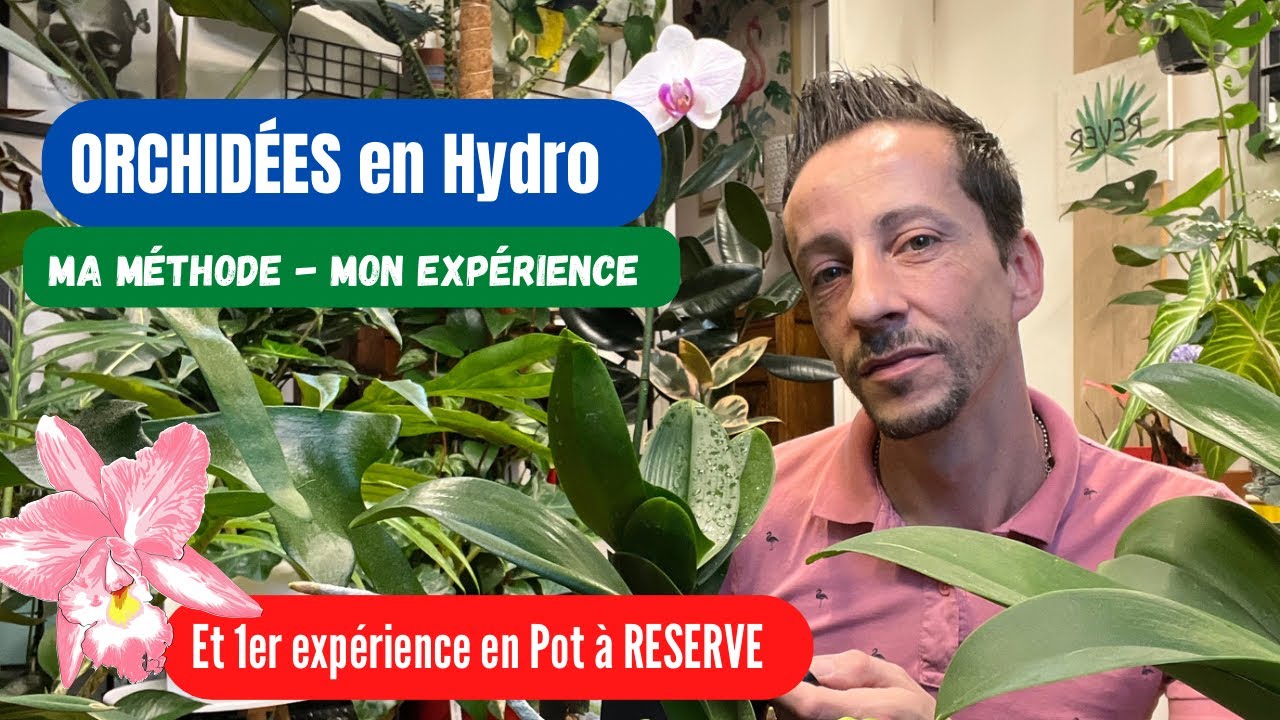 #10-ORCHIDÉES en Hydro et 1er expérience en Pot à RÉSERVE #plantaddict #orchidee