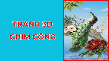 Tranh Chim Công | Tranh Dán Tường 3D 2023 - 0979.46.3459