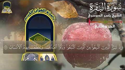 ومن الناس من يتخذ من دون الله اندادا |سورة البقرة| الشيخ ياسر الدوسري