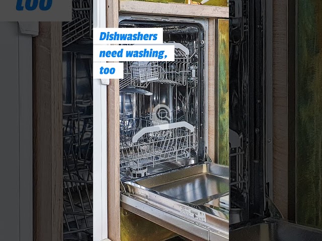 Dishwashers need washing, too #shorts #quickfacts class=