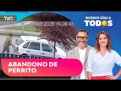 Video: Captan indignante abandono de perrito en plena calle | Buenos días a todos