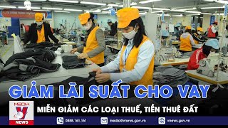 Tiếp tục giảm lãi suất cho vay, miễn giảm các loại thuế, tiền thuê đất - VNEWS