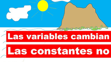 Diferencia entre variable y constante