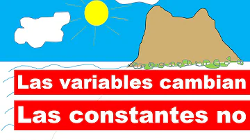 ¿Cuáles son las constantes y las variables?