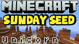 Minecraft - Sunday Seed: U n i c o r n screenshot 2