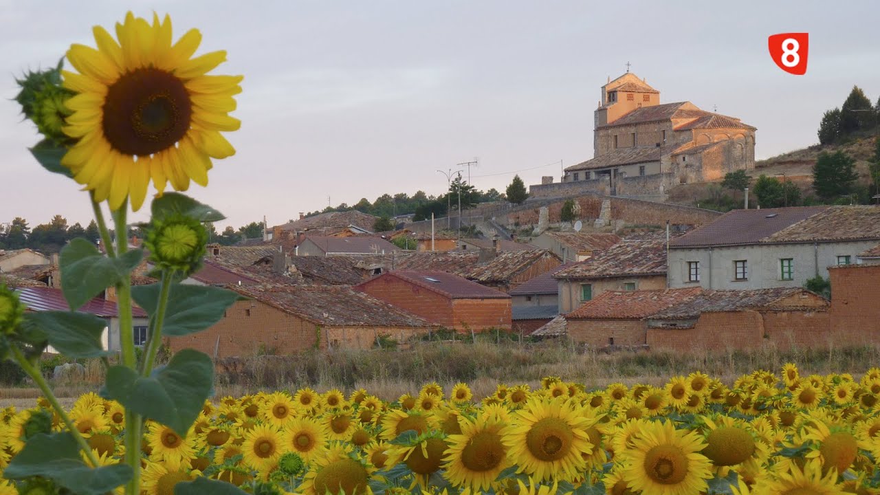 VALDENEBRO - UN PASEO POR LA PROVINCIA