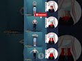 Get a Flat Stomach Fast! 4 Simple Abs Exercises 🔥