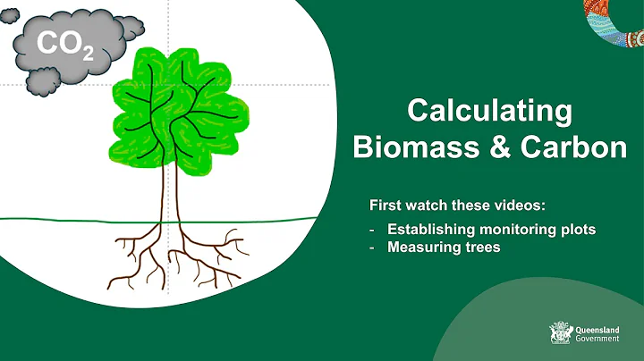 Calculating biomass and carbon - DayDayNews