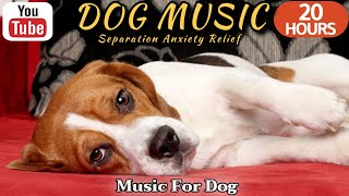 20 HOURS of Dog Calming Sleep Music🎵💖Anti Separation Anxiety Relief Music🐶🎵Calm dog🎵Healingmate by HealingMate - Dog Music 37,810 views 9 days ago 20 hours