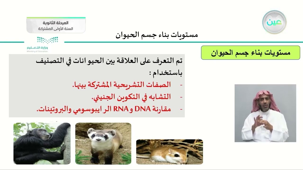 مستويات بناء الجسم في الحيوان - أحياء (1) - السنة الأولى المشتركة