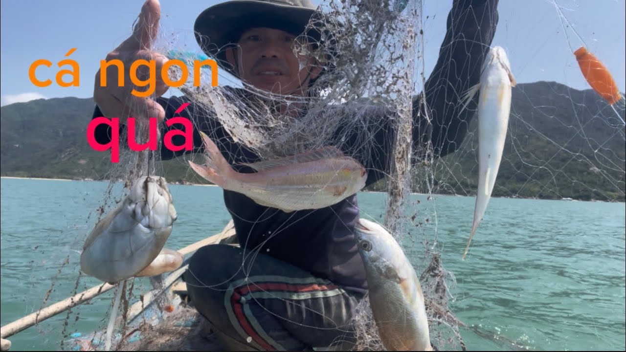 Đánh lưới dính cá và mực tôm tít quá đã luôn 