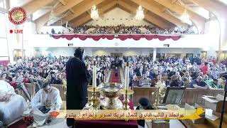 قداس احد الشعانين يراس الصلاه نيافه الحبر الجليل الانبا دافيد ٤-٢١-٢٠١٩
