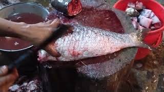 best fish cutting skills india | fish cutting skills in restaurant | fish cutting skills in tamil