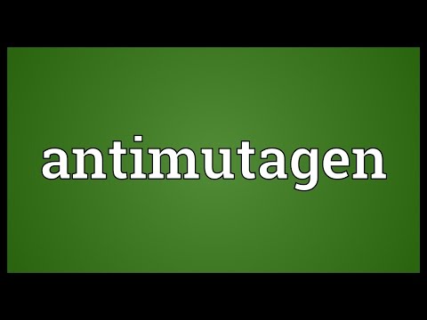 Antimutagen Meaning