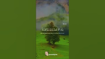 سورة الحج #ياسر_الدوسري #فلسطين #السعودية #المغرب #الجزائر #مصر #تونس #ليبيا #موريتانيا
