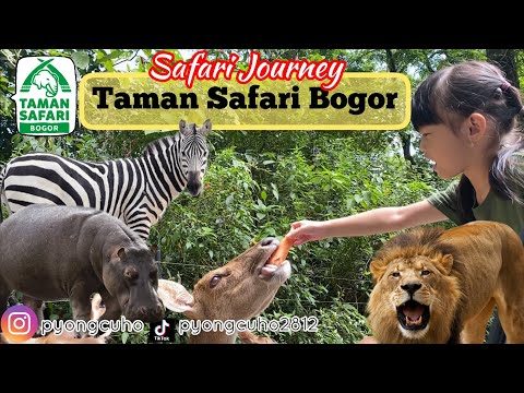 Video: Taman Satwa Safari West: Lebih dari Kebun Binatang