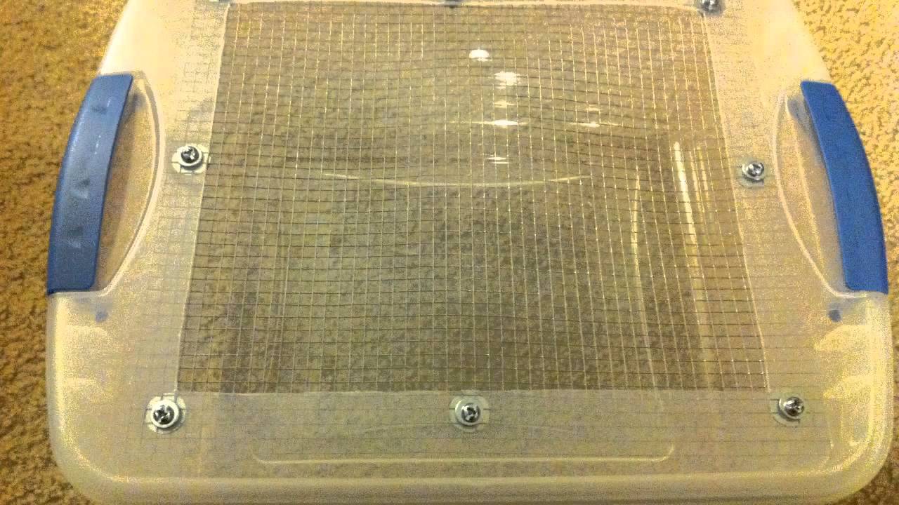 pythons for sale Mice Breeding Project - Birthing Tub