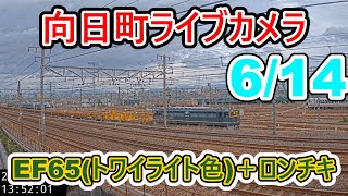 【向日町ライブカメラ】EF65＋ロンチキ　出庫