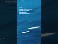 3rd single 「そのままにしておくね。」Sonomama ni Shite Okune. #risonua