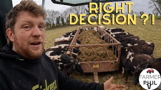 DIFFICULT DECISIONS - DO THE BULLS NEED IT ?! by FARMER PHIL 45,098 views 2 months ago 16 minutes