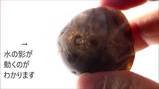 水入り瑪瑙 原石 磨き 35g / Enhydro Agate(Water Agate)