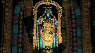 శ్రీనివాస కృపా కటాక్ష సిద్ధిరస్తు 🙌#yt#viral#sree matha #devotional#shorts#