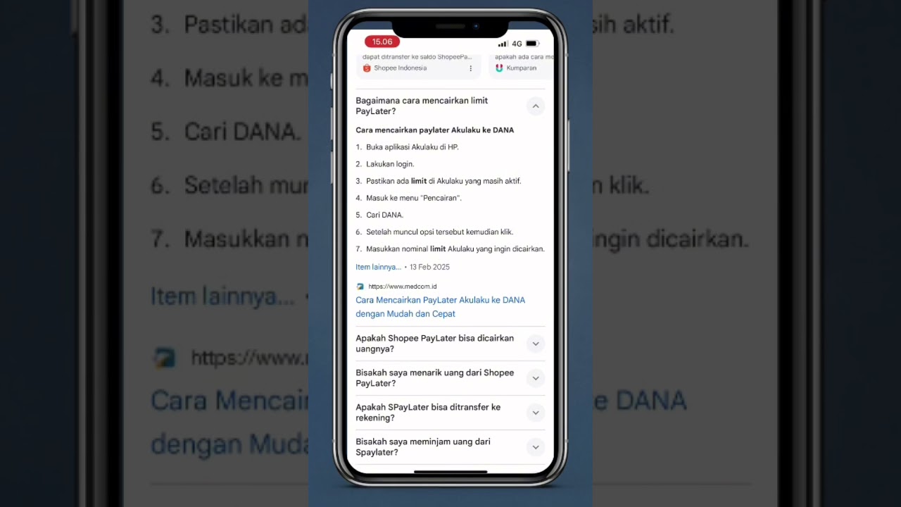 Reduce the paylater limit in 2025 