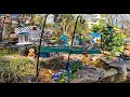 🐦 LIVE Backyard Birdcam ☀️ | Beautiful 80° Day… Who’s Visiting Today?! 👀