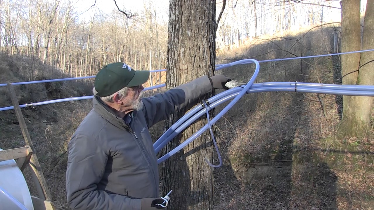 How To Install Maple Sap Lines