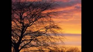 "The Painted Sky" by Matthew R Brackley Profile