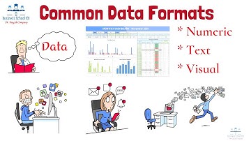 Common Data Formats | Business Analytics | From A Business Professor