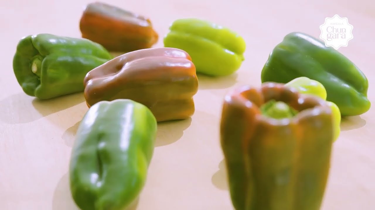 AGRÍCOLA CHUNGARÁ | Calidad premium