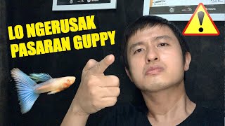 The market price of guppy fish is damaged??