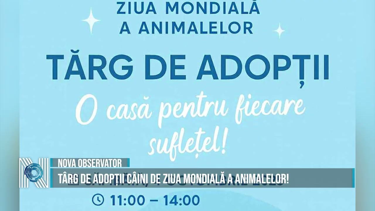 Târg de Adopții Câini de Ziua Mondială a Animalelor!