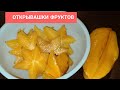 ОТКРЫВАШКИ-ФРУКТОВАШКИ