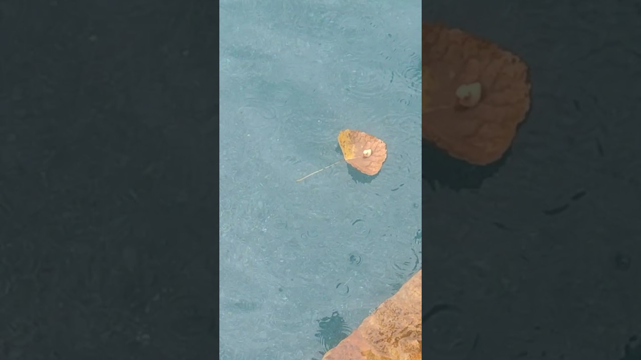 making a boat for my mini duck 