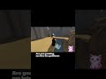 @nanibels_nook had ideas and went down with the ship... #twitch #community