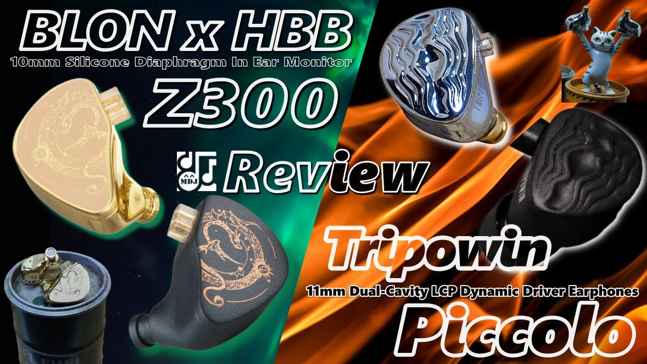 Simultaneous review of two models with similar impressions