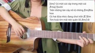 [Hướng dẫn Guitar] Trốn Tìm | Có intro | Đen ft. MTV Band