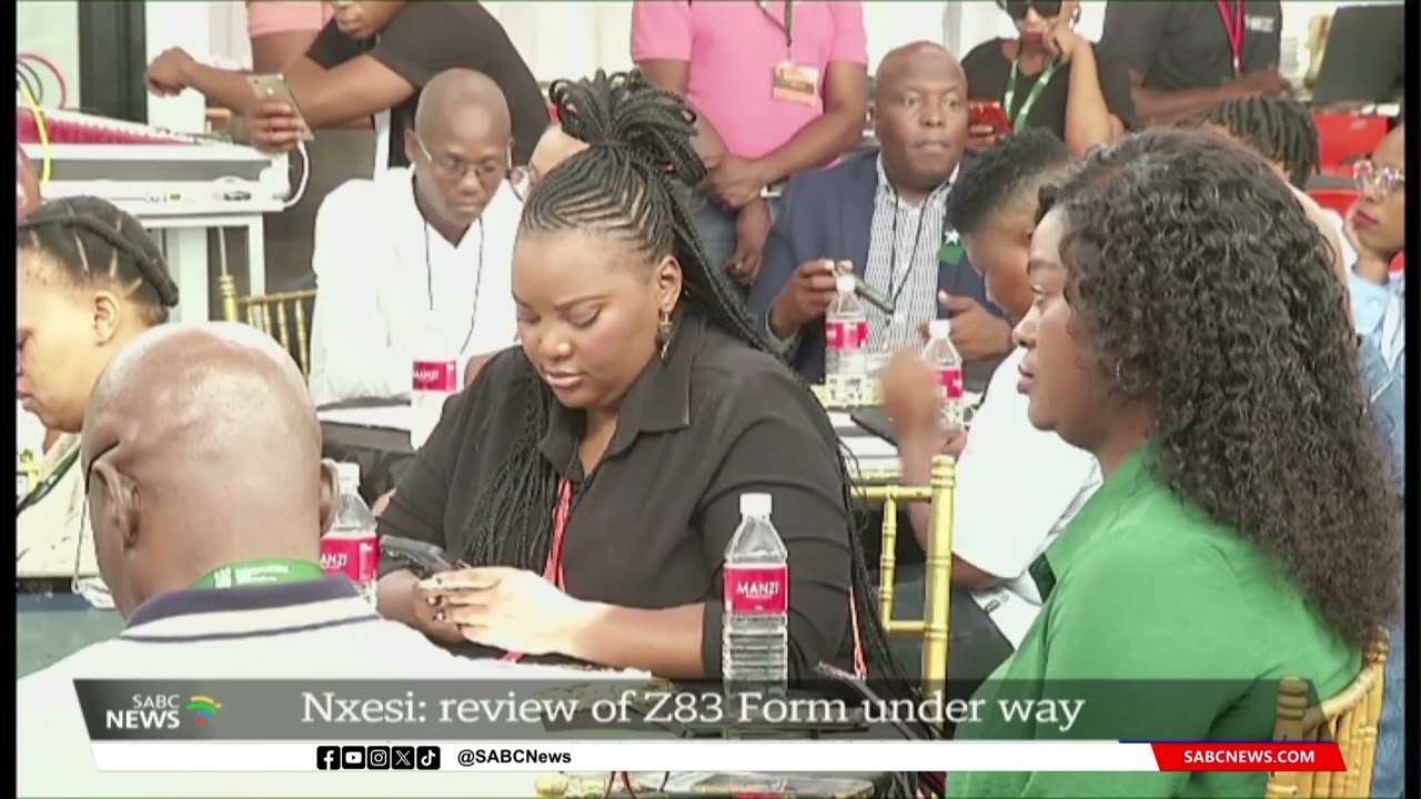 Review of Z83 form under way: Thulas Nxesi