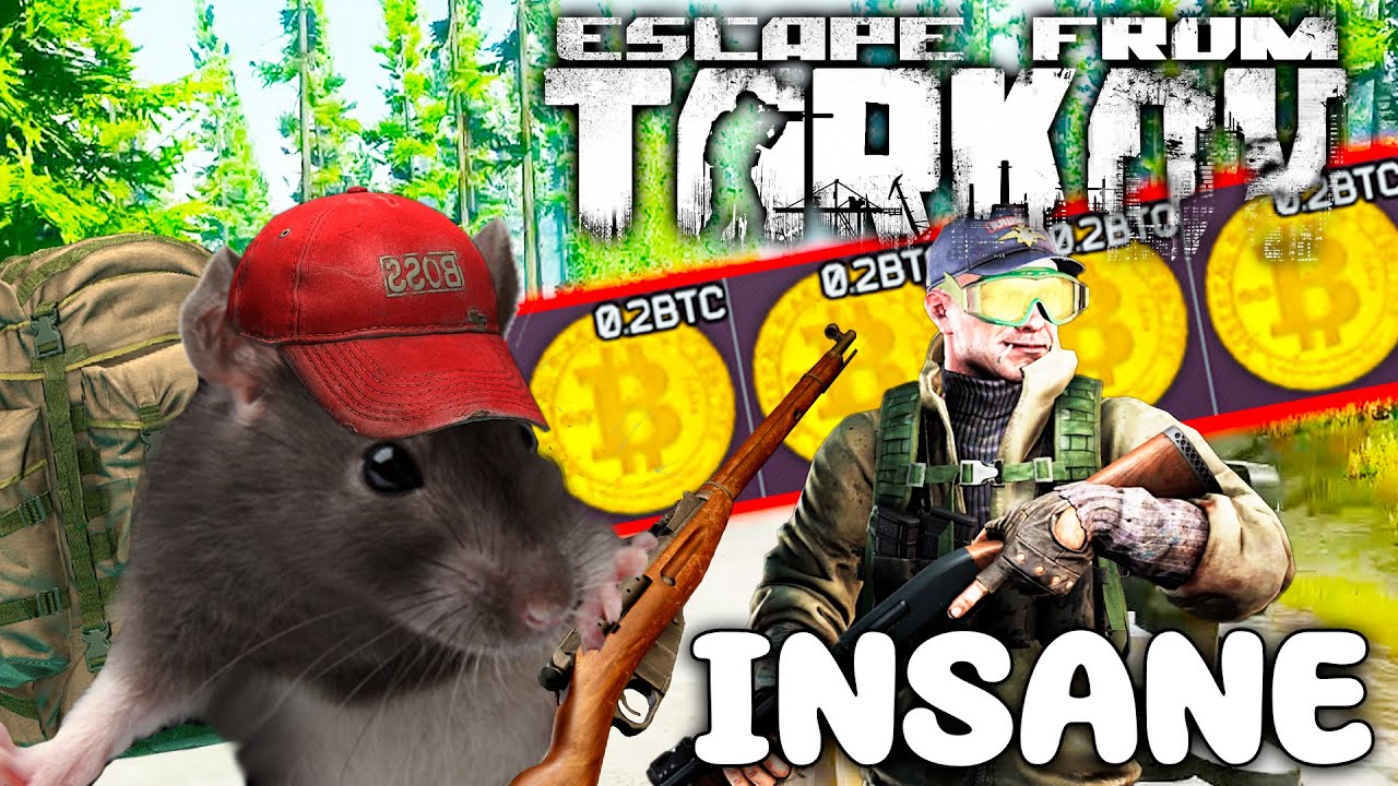 *WIPE* Escape from Tarkov - Best Highlights & EFT WTF, Funny Moments ...