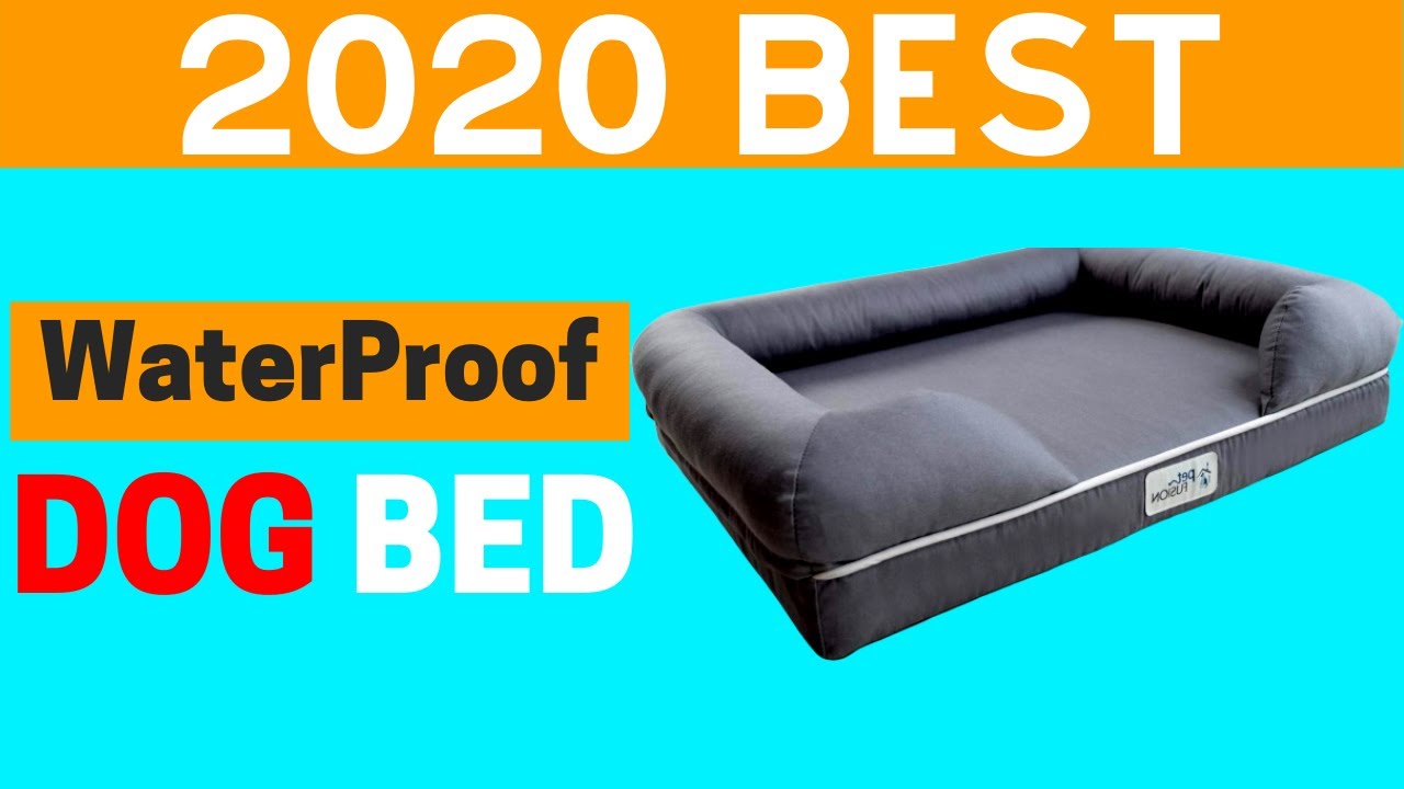 Best Waterproof Dog Bed 2020 Waterproof Dog Bed Review YouTube