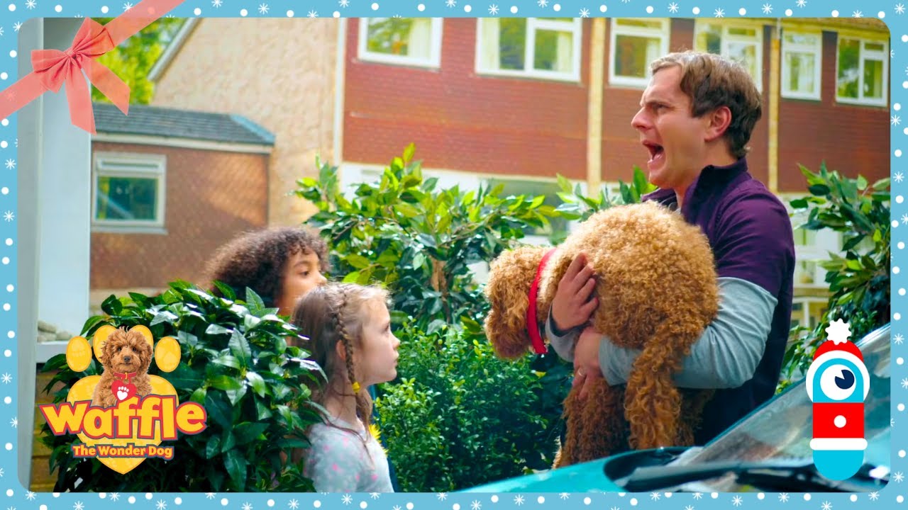 Waffle the Wonder Dog - Moving Waffle | Best Shows for Kids | WildBrain Zigzag