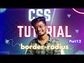 CSS Border-Radius Tutorial in Hindi / Part 12