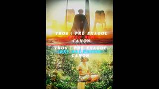 Kylo Ren Vs Rey Palpatine Canon