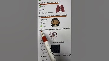 Anatomy Quiz - Can you get 7/7?