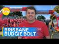 Brisbane's budgie bolt returns! | Today Show Australia