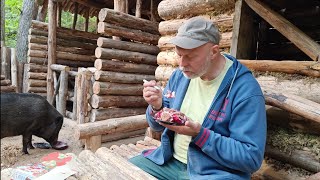 Отметил день рождения в землянке | Кабан напарник.