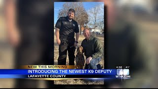 VIDEO: Lafayette County Sheriff's Department needs help naming newest K9 deputy
