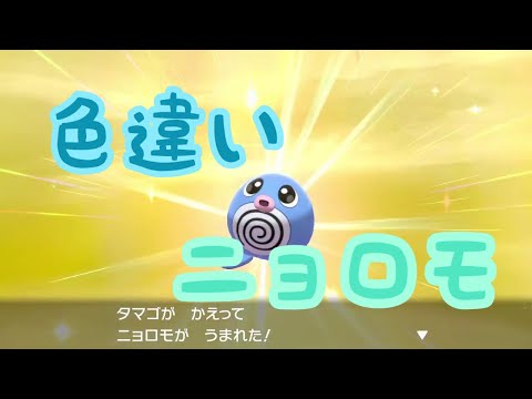 ソードシールド ニョロモの種族値 わざ 特性など能力と入手方法 ポケモン剣盾 攻略大百科